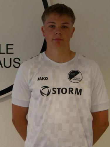 Louis Große Erdmann