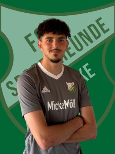 Mohamad Mehdi Alsaied