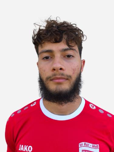 Ali Saedan