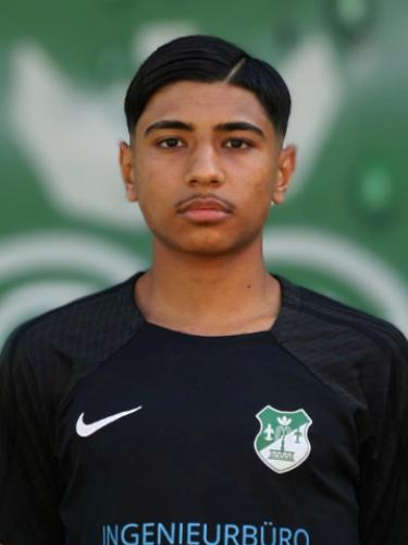 Mehdi Hashimi
