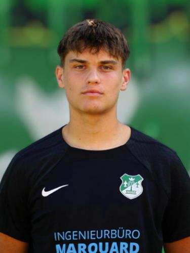 Mika Lozancic
