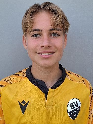 Felix Moritz Willi