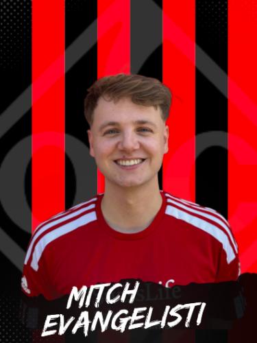 Mitch Evangelisti