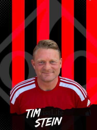 Tim Stein
