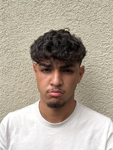 Aiman El Hamoudi Hlimi