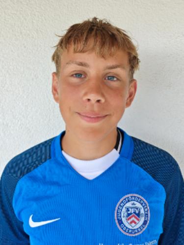 Leonard Daniel Harald Wiedmann