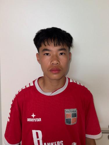 Viet Hoang Nguyen