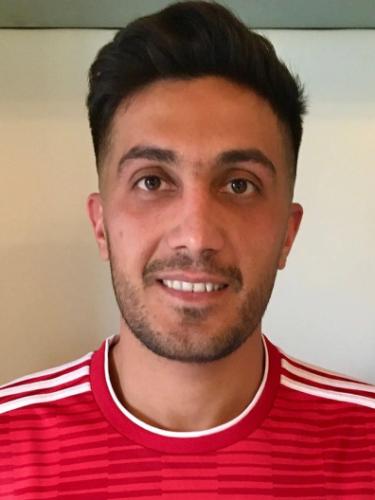 Mohamad Reza Ashori