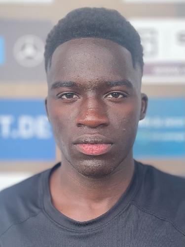 Mamadou Sadialiou Diallo