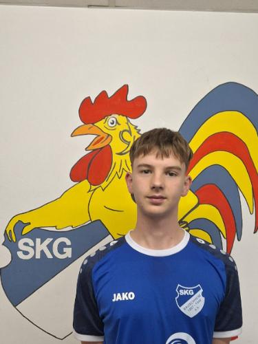 Stefan Krallinger