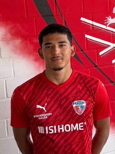 Ahmad Bek