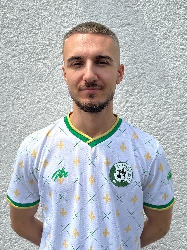 Emir Abdulahovic