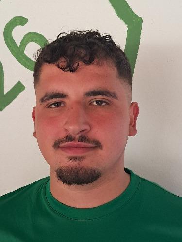 Altin Salja