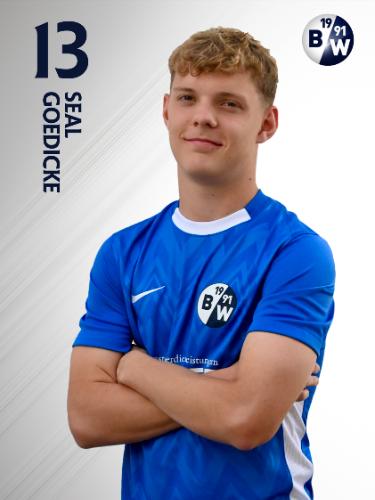 Seal Gödicke
