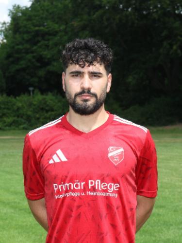 Ahmed Ali Darweesh Hamo