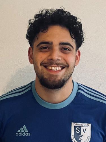 Tarik Mollahüseyinoglu
