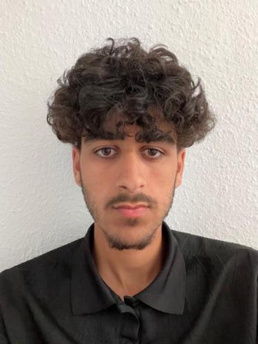 Mohamad Alhamwi