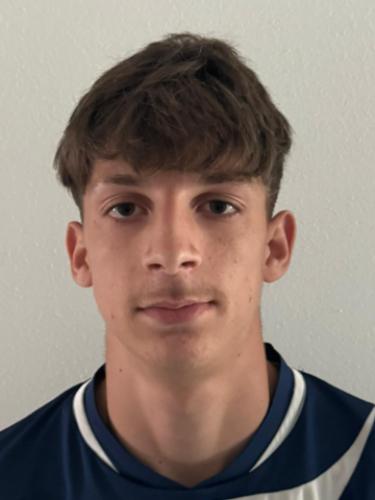 Danail Stoyanov