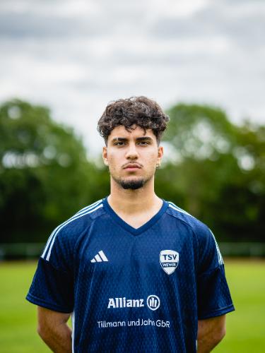 Amirhesam Ghiyasvand