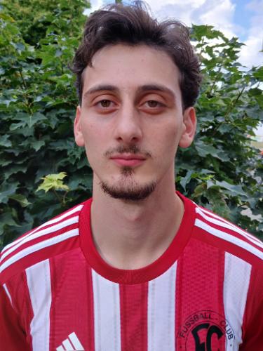 Tarik Ziya Celik