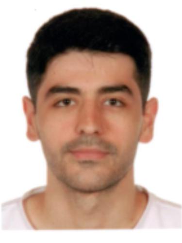 Hamza Trtovac
