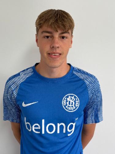 Michel Schultealbert