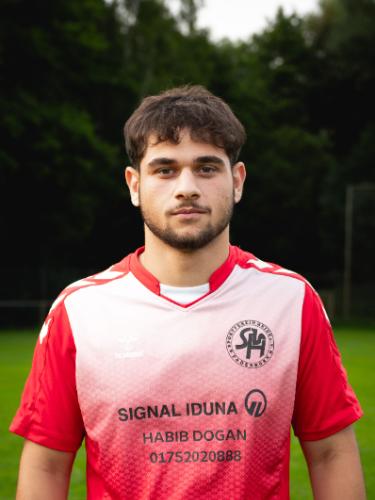 Radin Arzpeyma Mohammareh