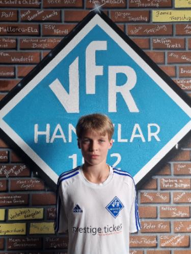 Robert Johannes Avenarius