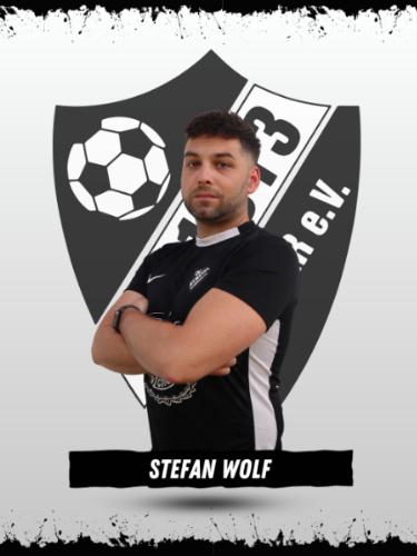 Stefan Wolf