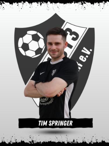 Tim Springer
