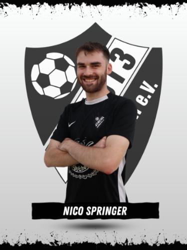 Nico Springer