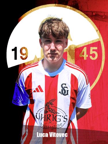 Luca Vitovec