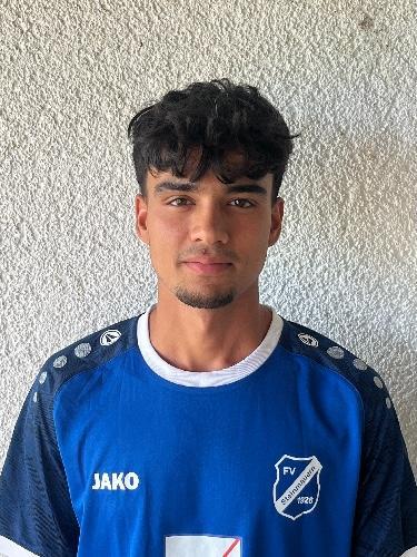 Arash Wahedi