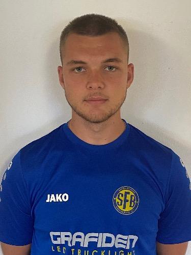 Hamza Sisic