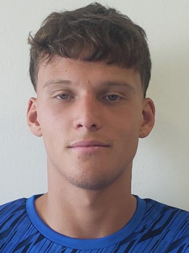Karlo Kuranyi