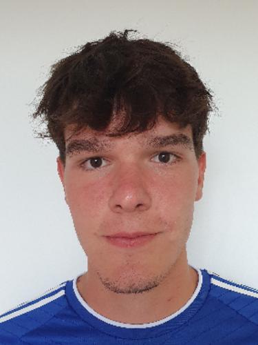 Diego Arnold Terner Besada