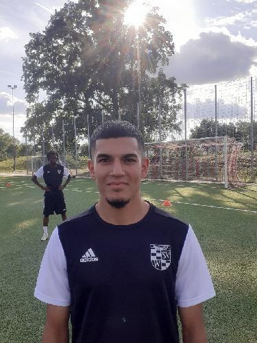 Mehmet Ali Sahin