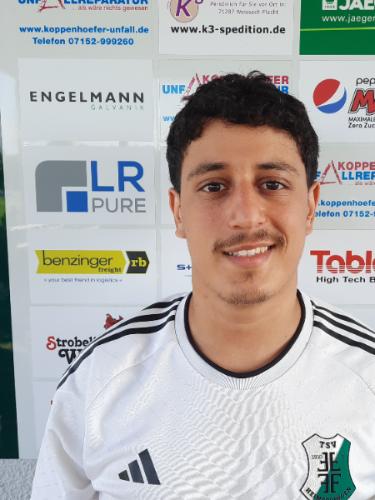 Ayyub Baroudi
