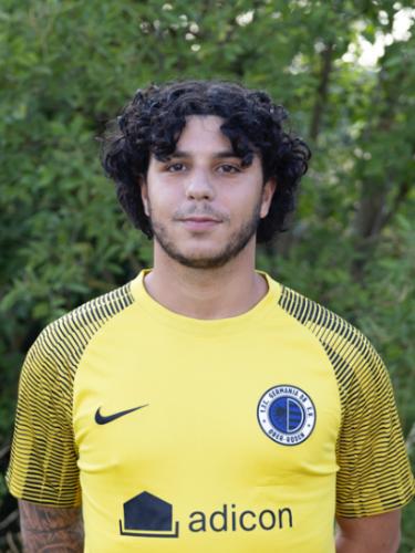 Ismail M Hamdi