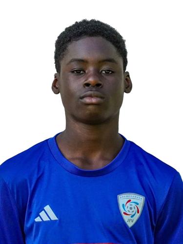 Desmond Levis Mensah