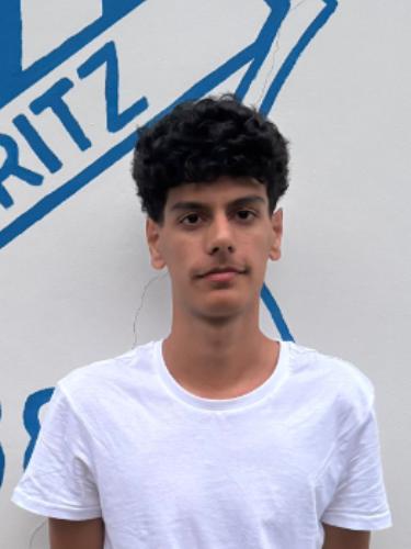 Mohammad Ramin Rasouli