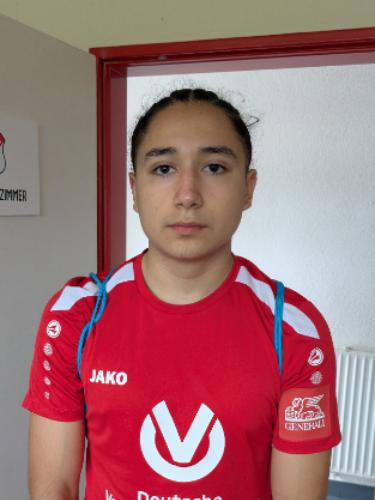 Theo Ollanta Heitzmann