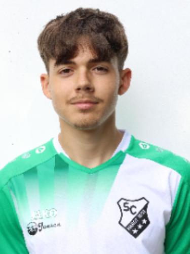 Denis Arapi