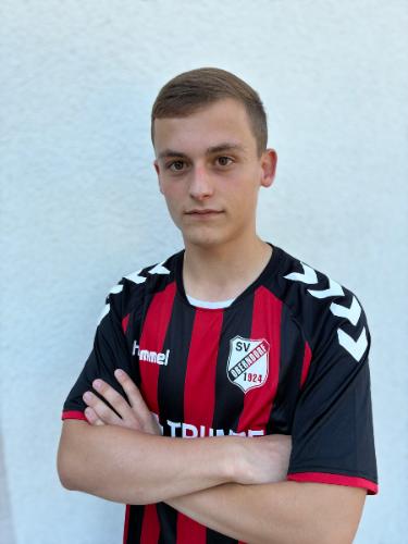 Niklas Biesinger