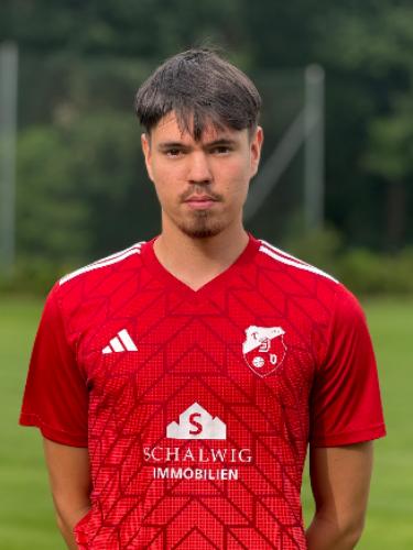 Manuel Ledwon