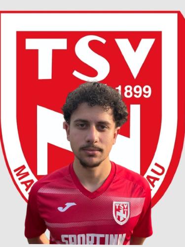 Can Tasdemir