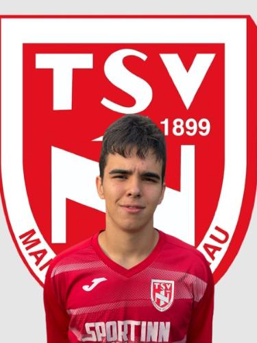 Stefan Vlaisavljevic