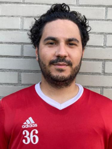 Mehmet Ali Ergül