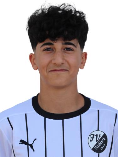 Semi Polat Aydin