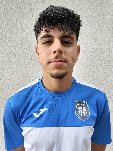Wael Hamada